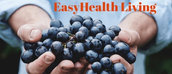 Healthy blueberry recipes 