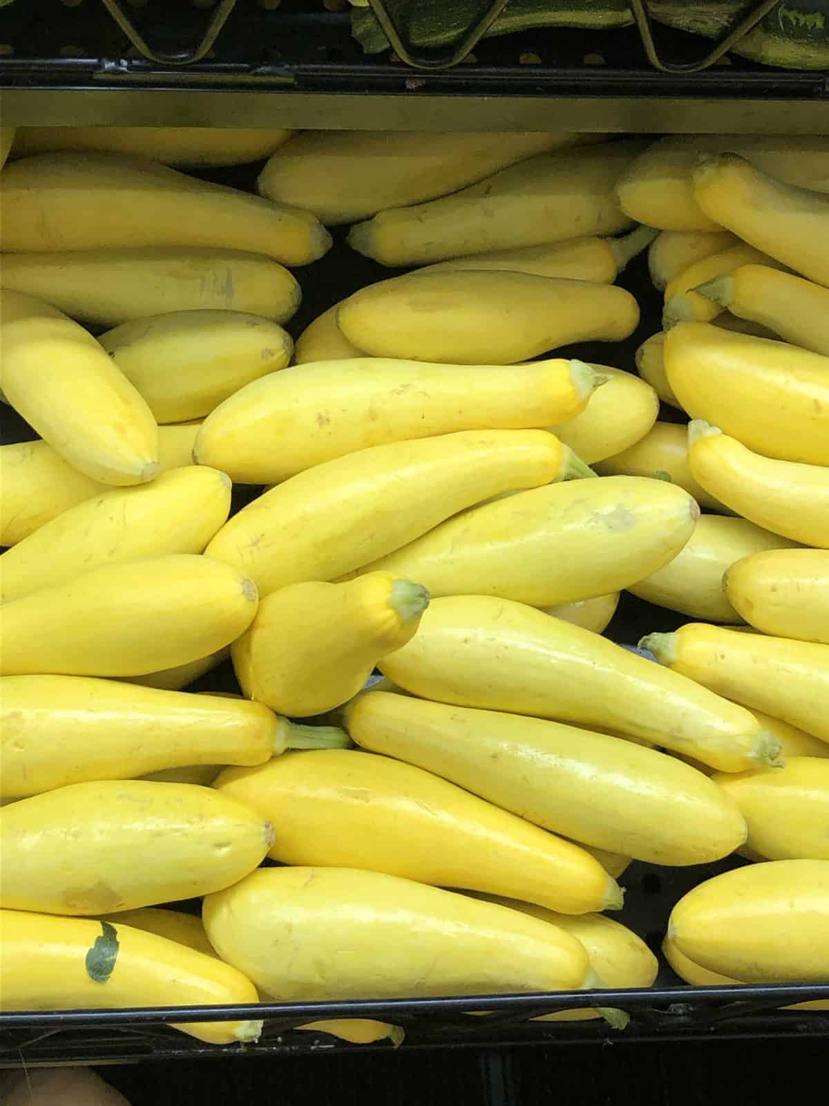 Yellow squash stacked in a bin in grocery.