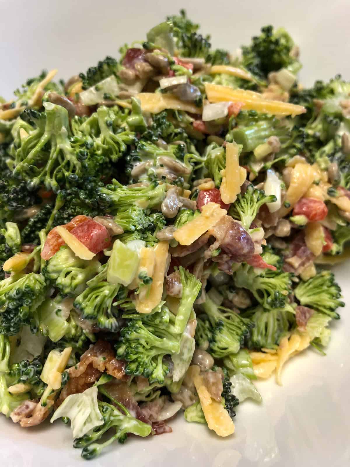 broccoli salad closeup