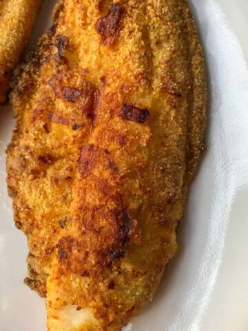 air fryer catfish on white plate