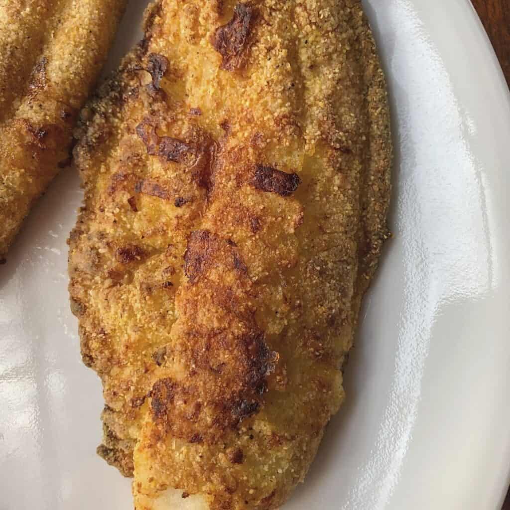 air fryer catfish on white plate