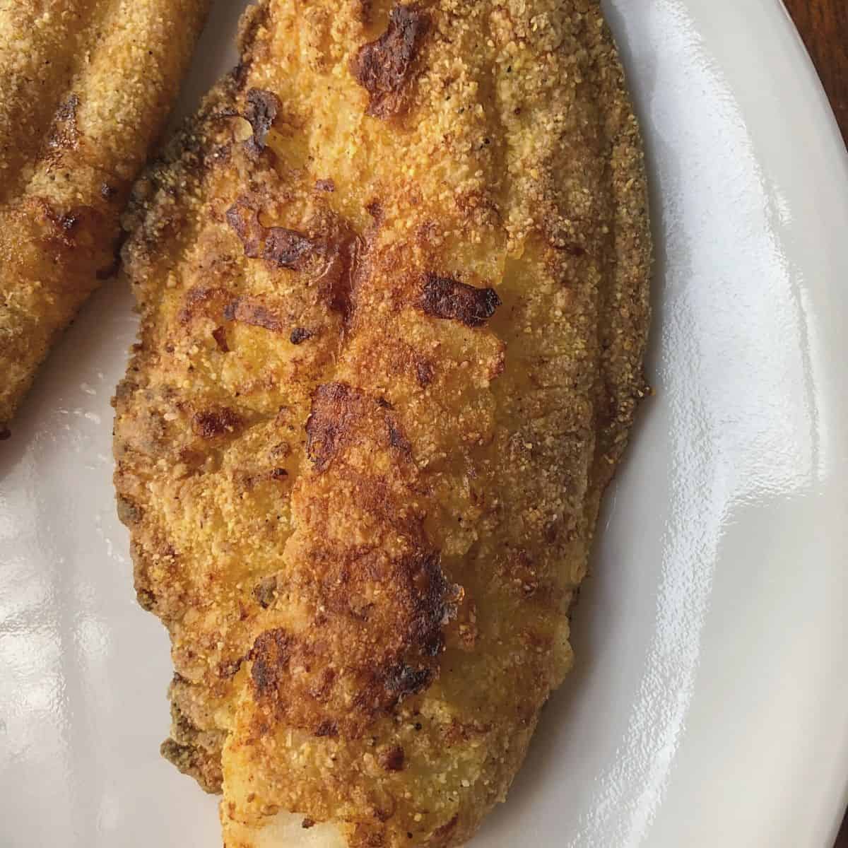 Crispy Southern Air Fryer Catfish Recipe EasyHealth Living