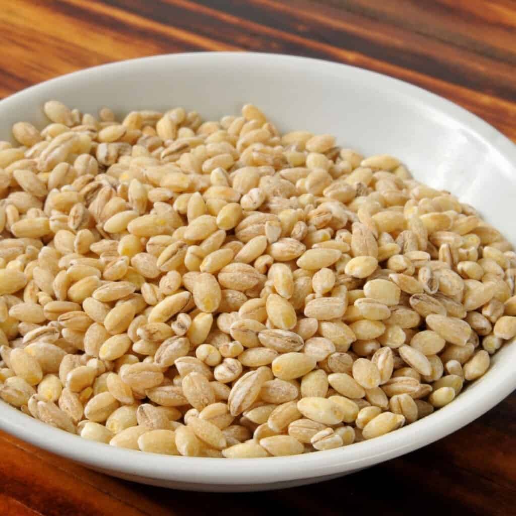 barley grain in white bowl