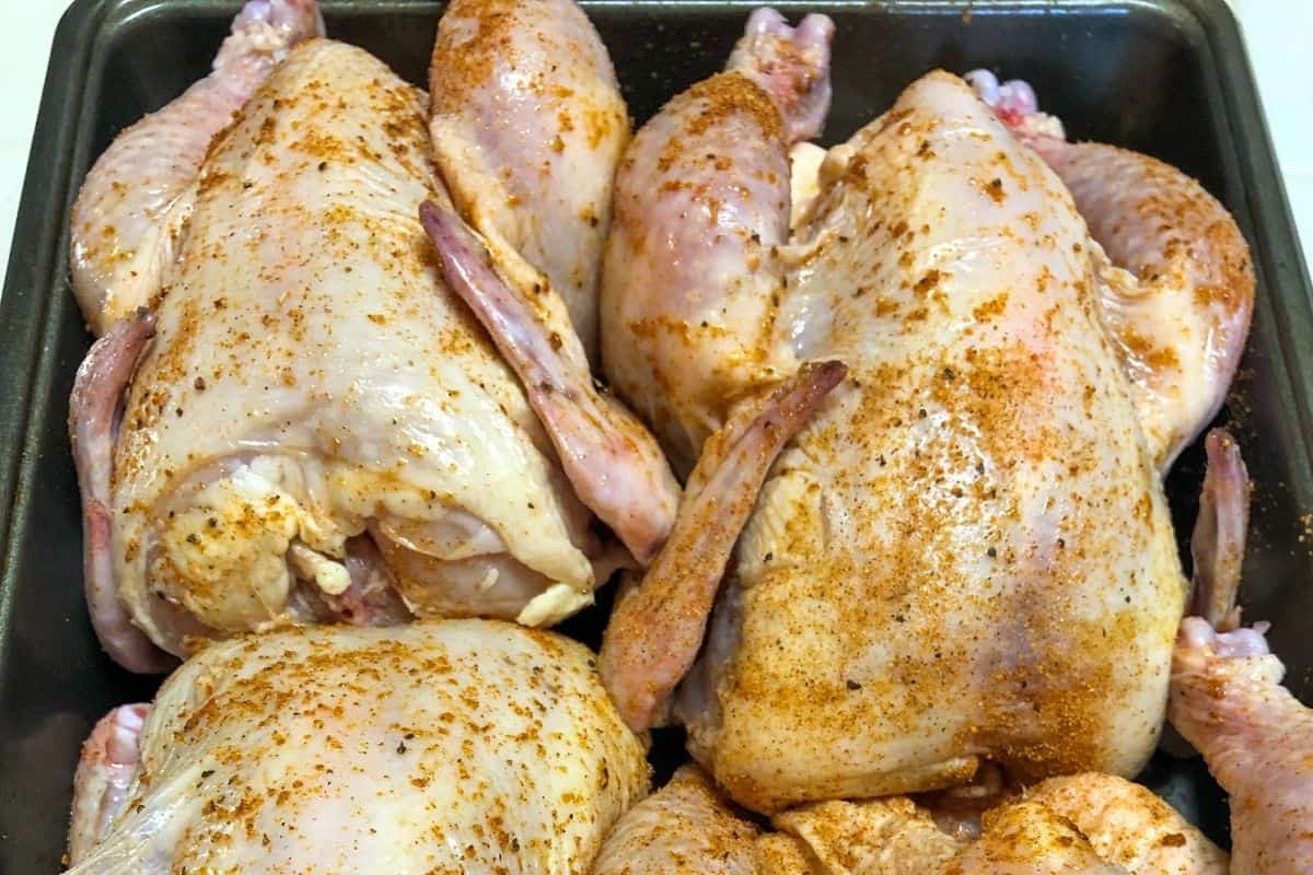 raw cornish hens coated with seasoning