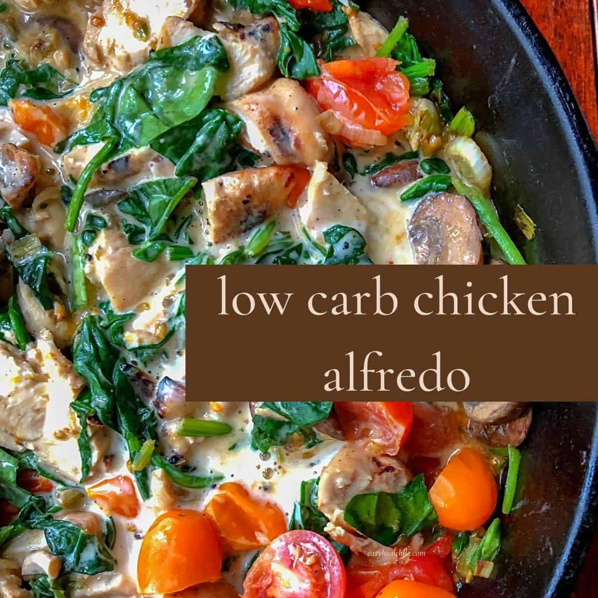 chicken alfredo in black skillet