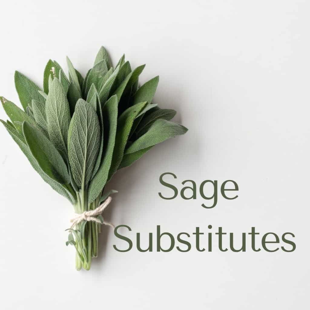 bundle of sage with sage substitutes 