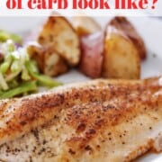 baked fish, roasted potato cubes and slaw with graphic in red letters What does 20gm carb look like