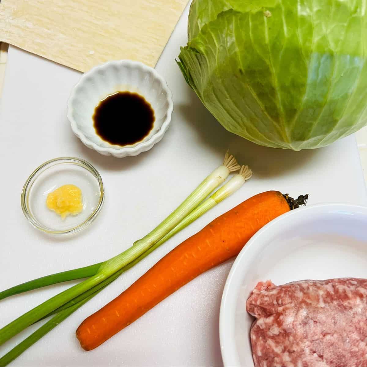 carrot, green onion, egg roll wrappers, cabbage, soy sauce on white plates
