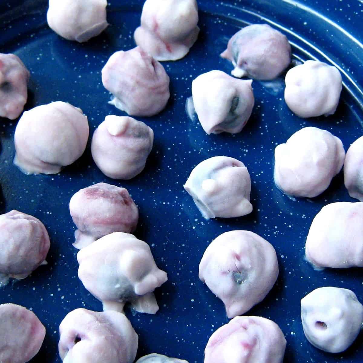 yogurt frozen blueberries on blue plate