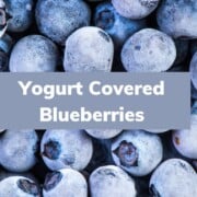 yogurt covered blueberries