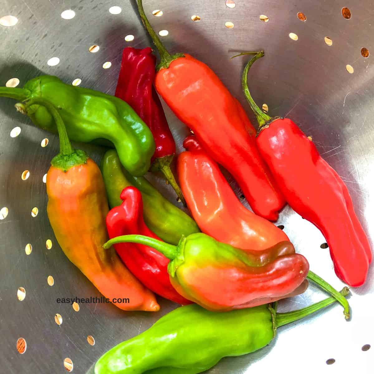 Red and green peppers in colander