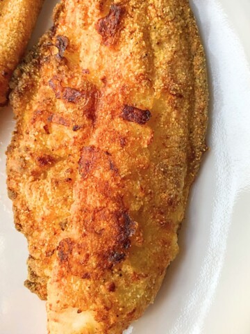 air fryer catfish on plate